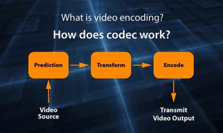 How do I find the codec for an AVI?