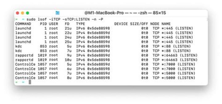 How do I see which processes have open TCP/IP ports in Mac OS X?
