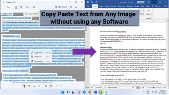 How do you copy+paste text from the terminal to a web browser and vice versa?