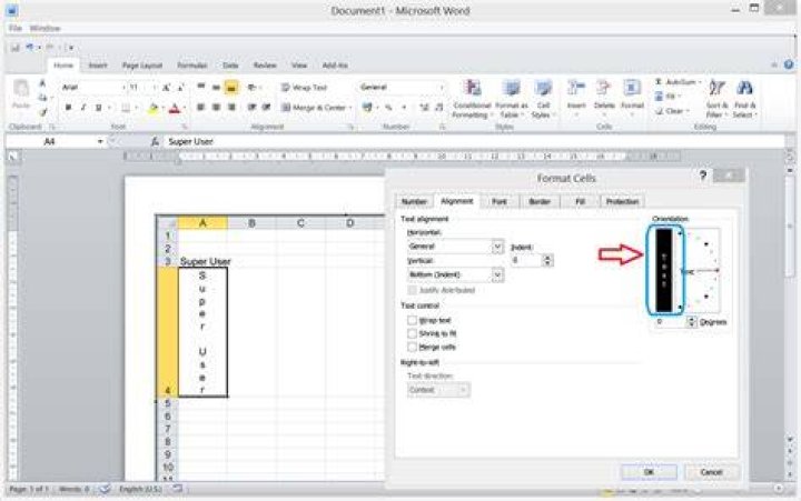 How do you make text vertical in Word 2010?
