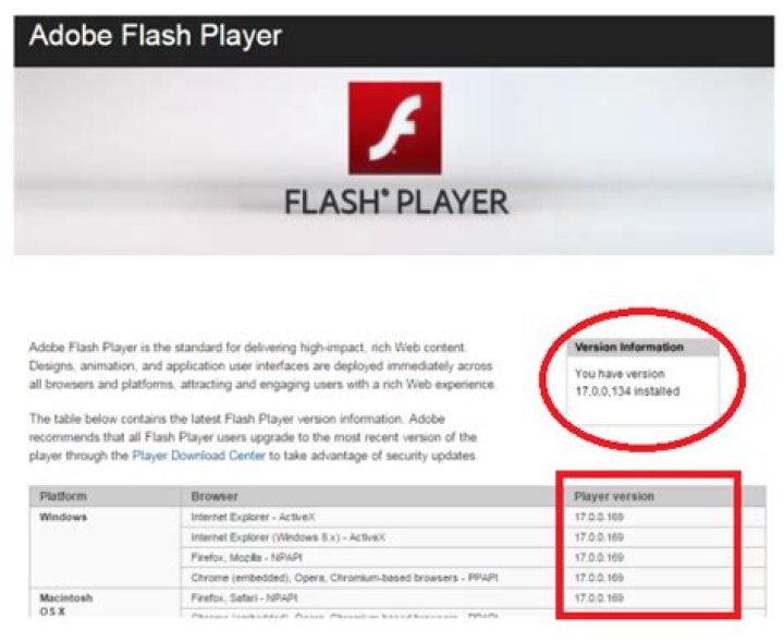 How do you tell the version of Flash Player running in Chrome?