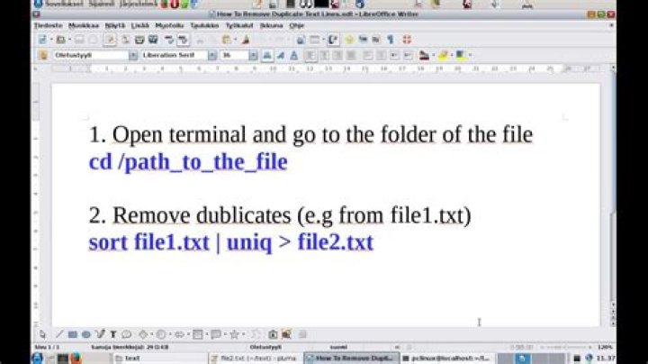 How Does One Remove Duplicate Text Lines From Files Larger Than 4GB?