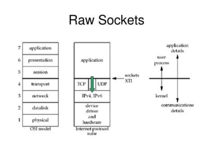 How raw sockets work?