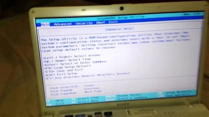How to access Sony Vaio's BIOS?