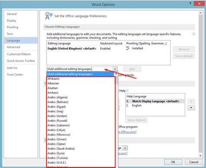 How to add a language dictionary to Word 2007?