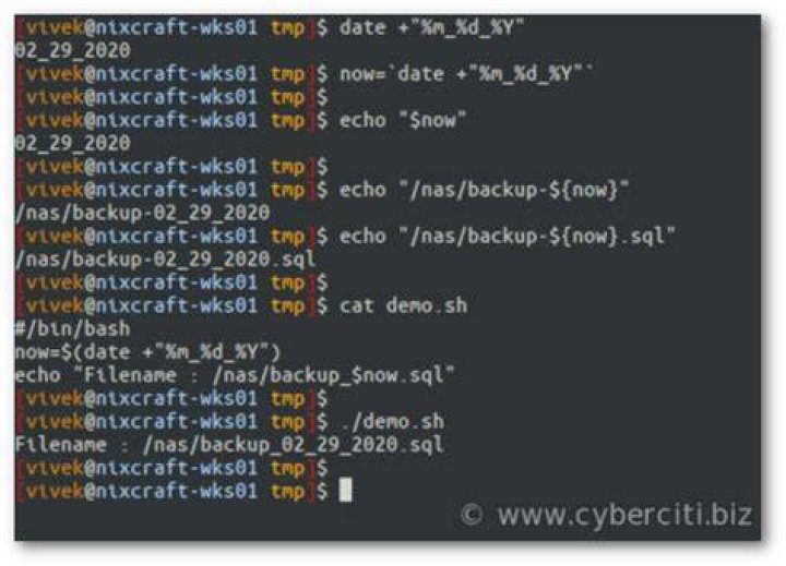How to append a string to a file name in Bash Shell?