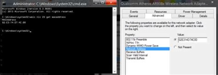 How to bypass first octet restriction for wireless adapter mac addresses in windows 8.1