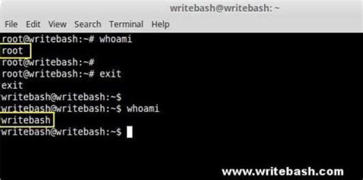 How to check root partition with fsck?