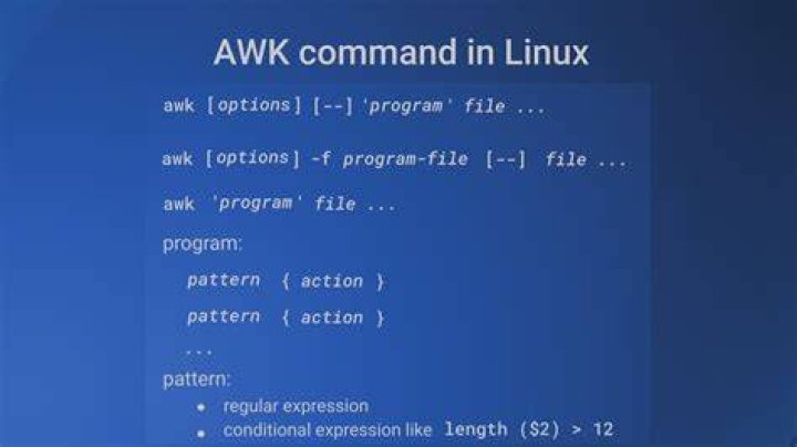 How to check shell options?