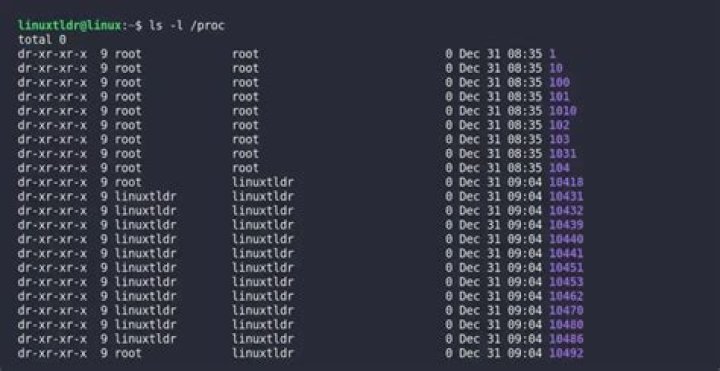 How to check what file "links to" /proc/cmdline