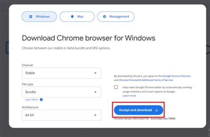 How to click "Download Chrome" button from Windows Server in IE?