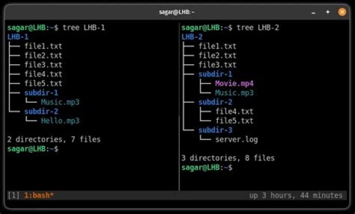 How to compare files in different folders in Unix?