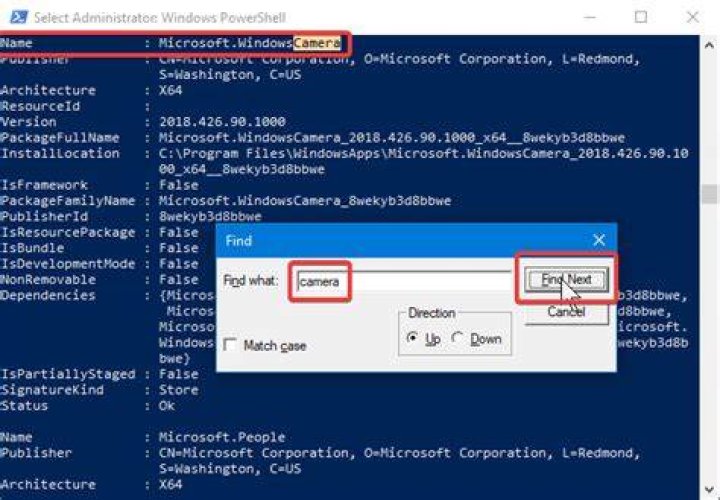 How to copy text from PowerShell