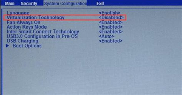 How to detect if VT-X has been turned on in the BIOS?