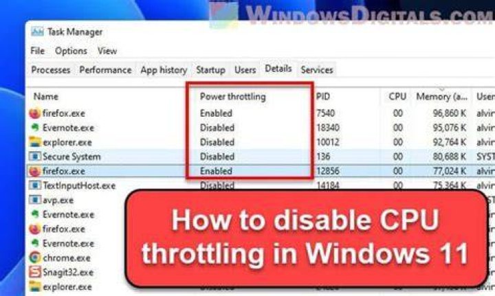 How to disable CPU throttling on the laptop