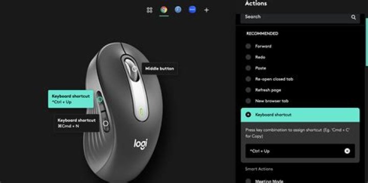 How to disable mouse back and forward shortcuts in CHROME?