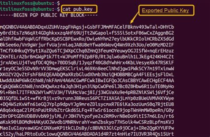 How to extract a gpg file