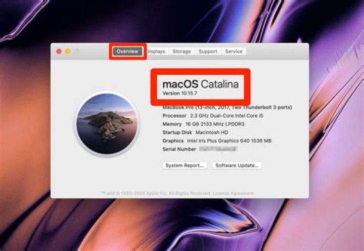 How to find out Mac OS X version from Terminal?