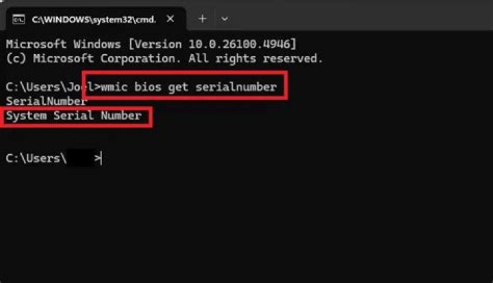 How to find the BIOS serial number on Windows 98?