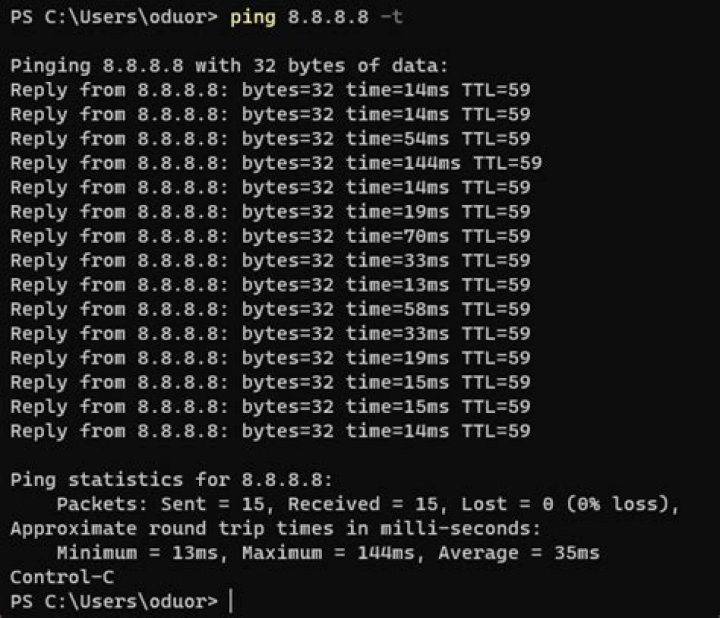 How to find the process which does ping 8.8.8.8 on a synology?