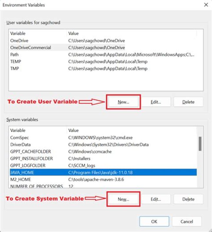 How to get existing environment variable, change the value of it and display it after change with CMD command?