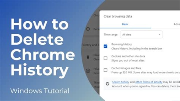 How to get the "hosts" of the Google Chrome history entries
