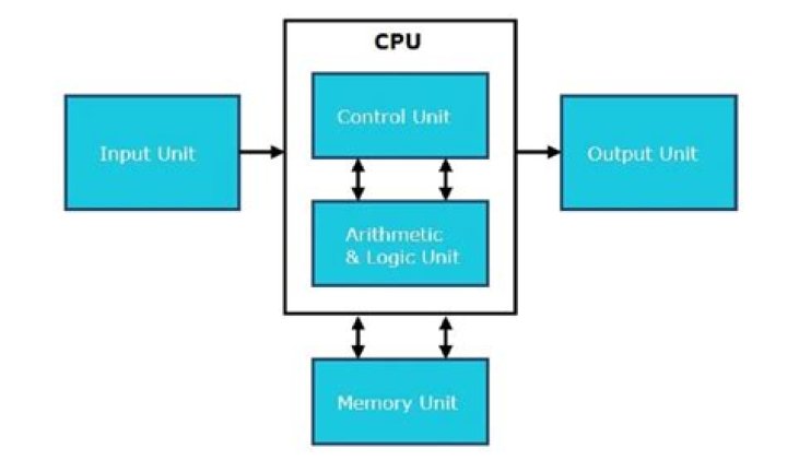 How to know the architecture of processor I'm using?