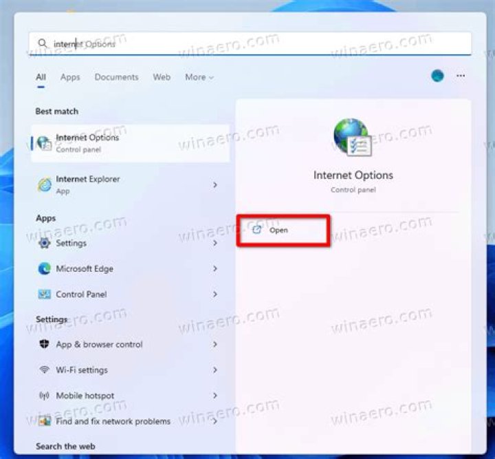 How to launch Internet Explorer from the command prompt?