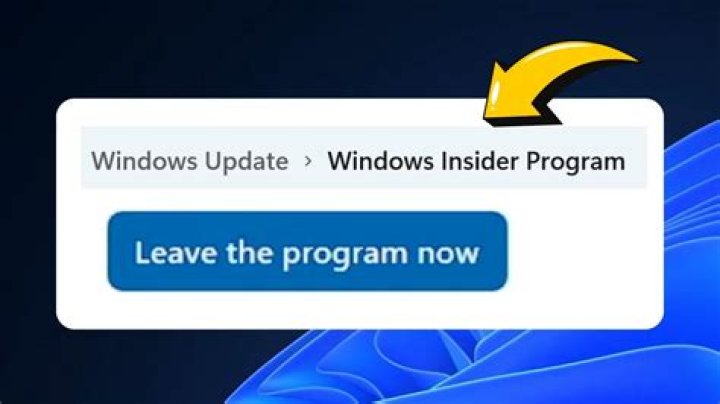How to leave windows 11 dev channel without data loss?