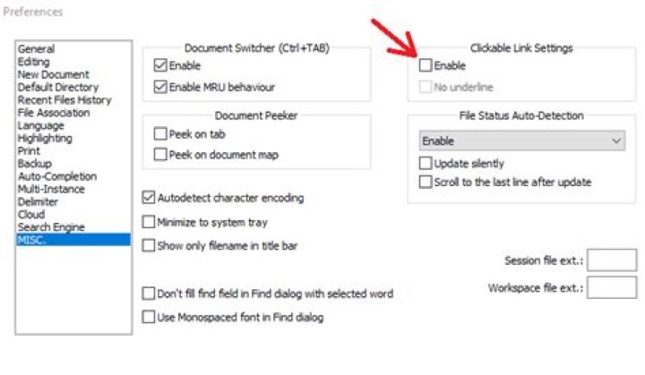 How to open a big file in Notepad++?
