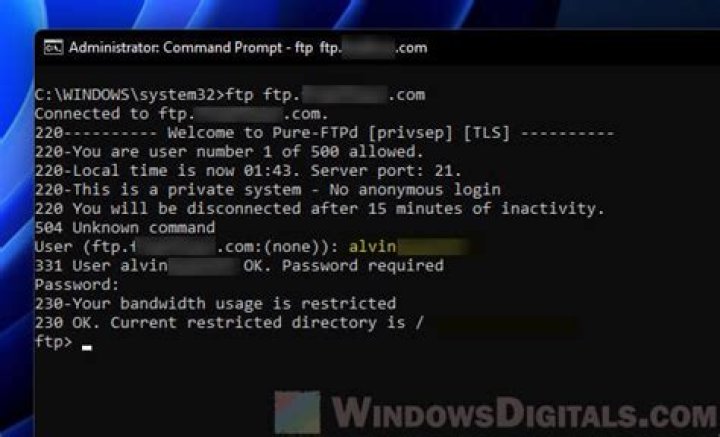 How to provide username and password within FTP URL for direct download in a browser?
