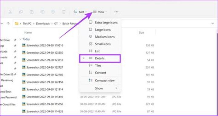 How to rename all the files and folders of files in a folder to have lower case names at once?