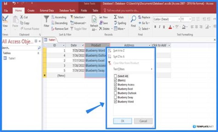 How to replicate a MS Word document's layout and formatting in a MS Access 2013 report