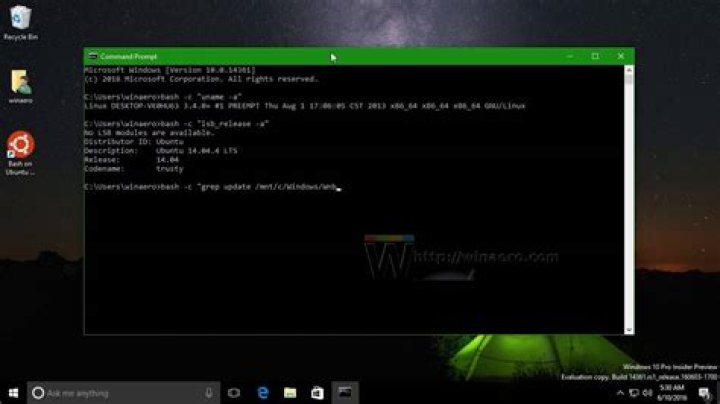 How to run an .exe from linux command prompt