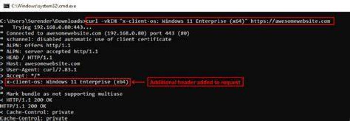 how to use curl to verify if a site's certificate has been revoked?