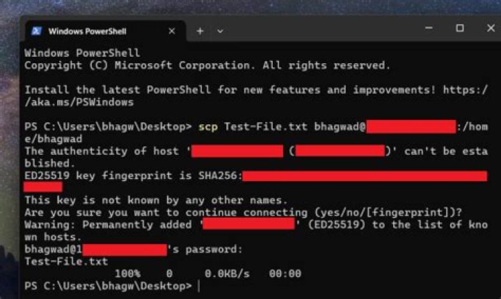 How to use scp in a bash script without specifying password?