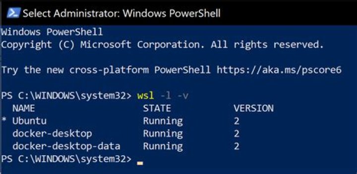 How to verify that WSL 2 is used?