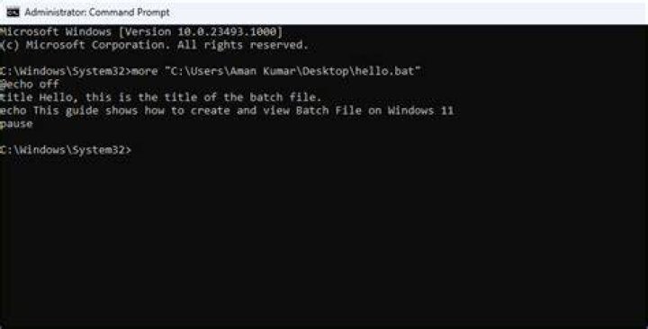 "if not exist" with "goto" isn't working (just skips) and "else" variant also not working (Windows batch file)