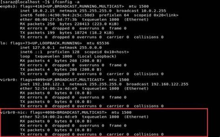 ifconfig -a is showing br-ba165999130f instead of eth0 (ethernet works)