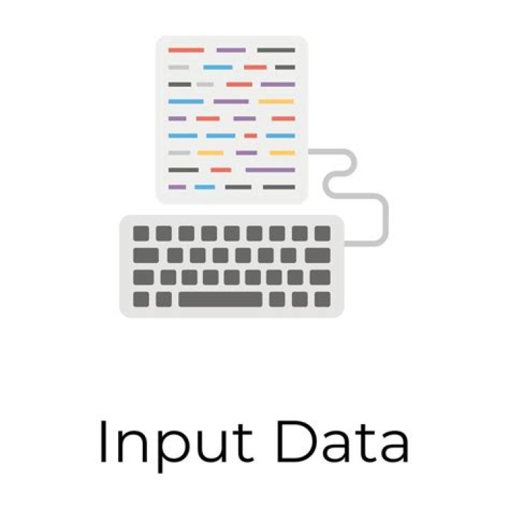 Input Data
