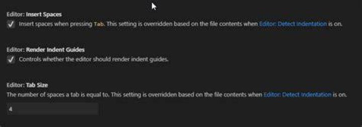 Intend settings part 2