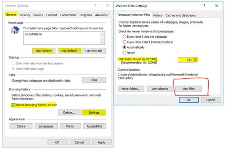 Internet Explorer 11 cannot download any files