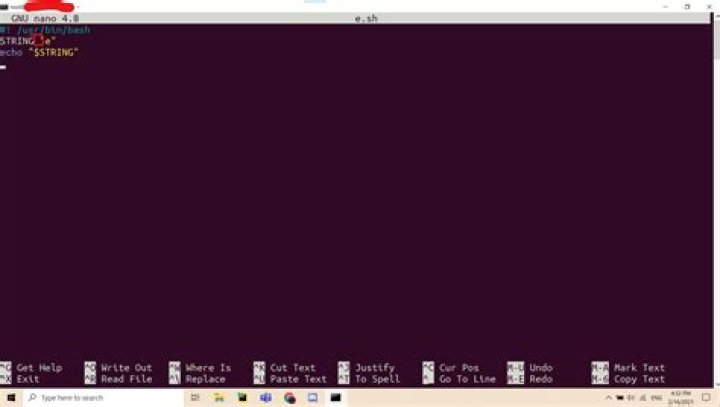 "=" is invisible in nano editor (wsl)