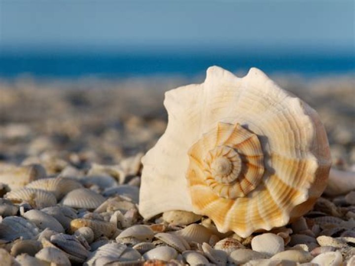is it possible to open a new shell from a shell and switch between them?
