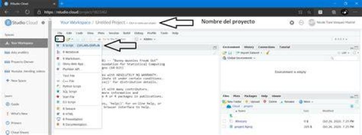 Is it possible to set R Studio cloud Studio WD in googledrive?