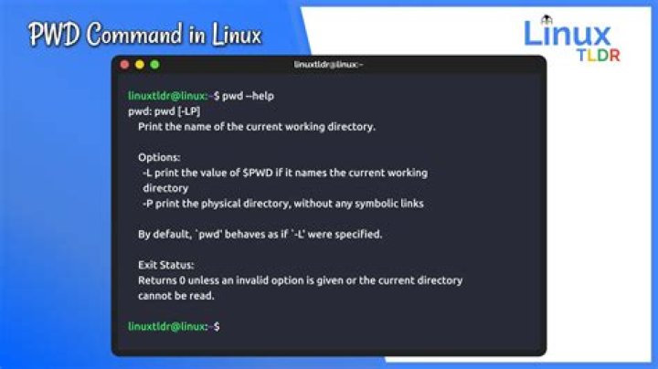 Is there a command to copy the above line within terminal? (e.g. copy the output of pwd)