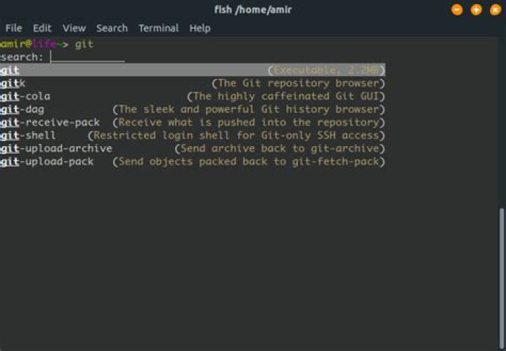 Is there a “reverse incremental search” functionality in Fish similar to Bash’s CTRL+R?