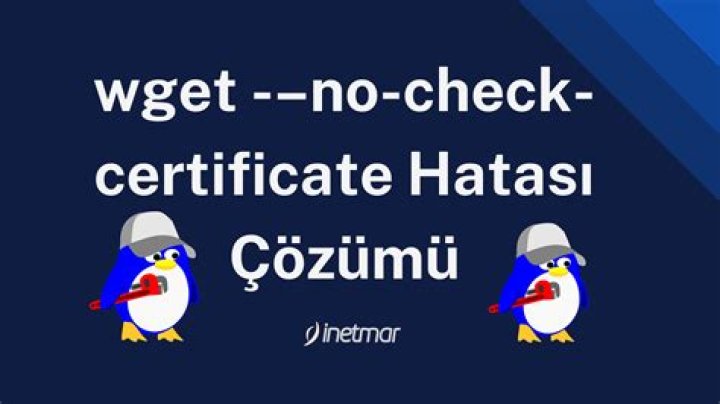 Is there a shorter version of wget --no-check-certificate option?