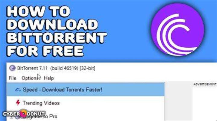 Is there a torrent software that doesn't require installation?
