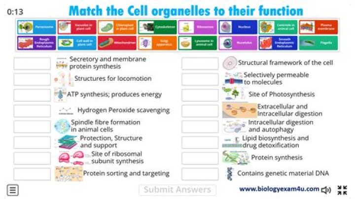 Is there a way to tell if a range of cells has any matching cell?